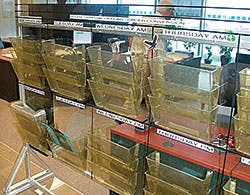 Trailer Bodybuilders Com Sites Trailer Bodybuilders com Files Uploads 2016 02 Multivans E Thumb Trailer Bodybuilders Com Sites Trailer Bodybuilders com Files Uploads 2016 02 Multivans E Thumb