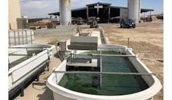 Trailer Bodybuilders Com Sites Trailer Bodybuilders com Files Quantum Qbi Fiscalini Dairy Smallponds Trailer Bodybuilders Com Sites Trailer Bodybuilders com Files Quantum Qbi Fiscalini Dairy Smallponds