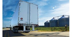 Great Dane Great Dane