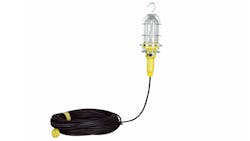 Larson Electronics Inspection Light 2 Larson Electronics Inspection Light 2