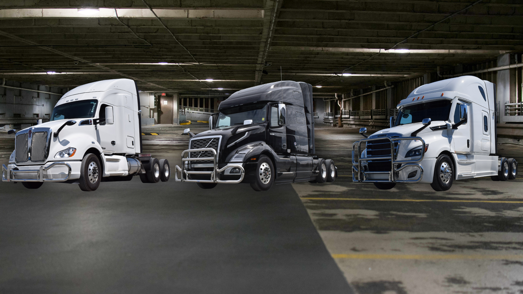 Magnum Mg Series 60177496a04bf