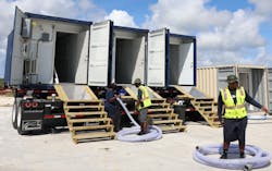 Cheetah Fema 2 Cheetah Fema 2