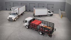 Morgan Dji 0271 2 61e07f1367cce Morgan Dji 0271 2 61e07f1367cce