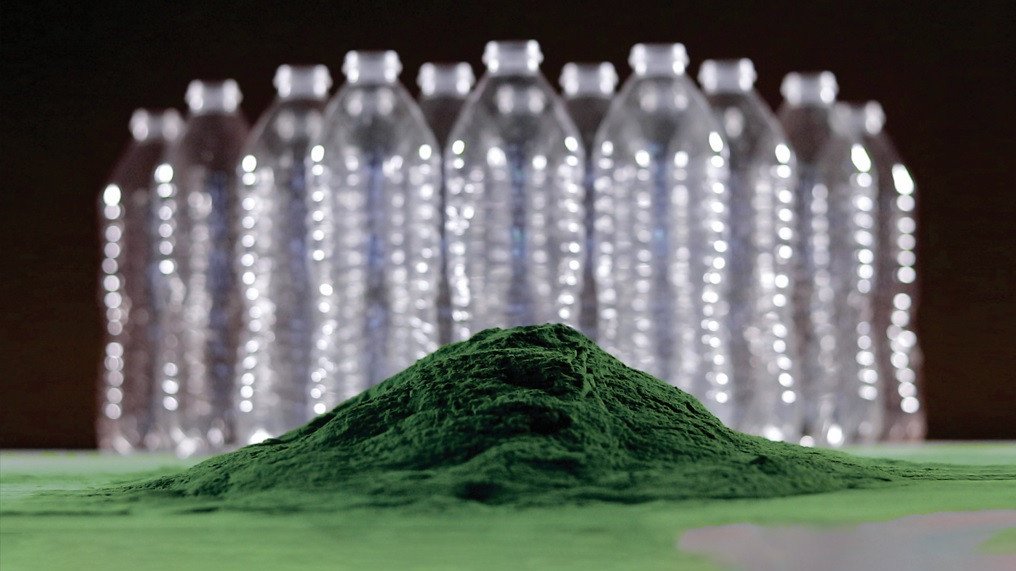 Sw Powdura Eco Web 634593c67cc66