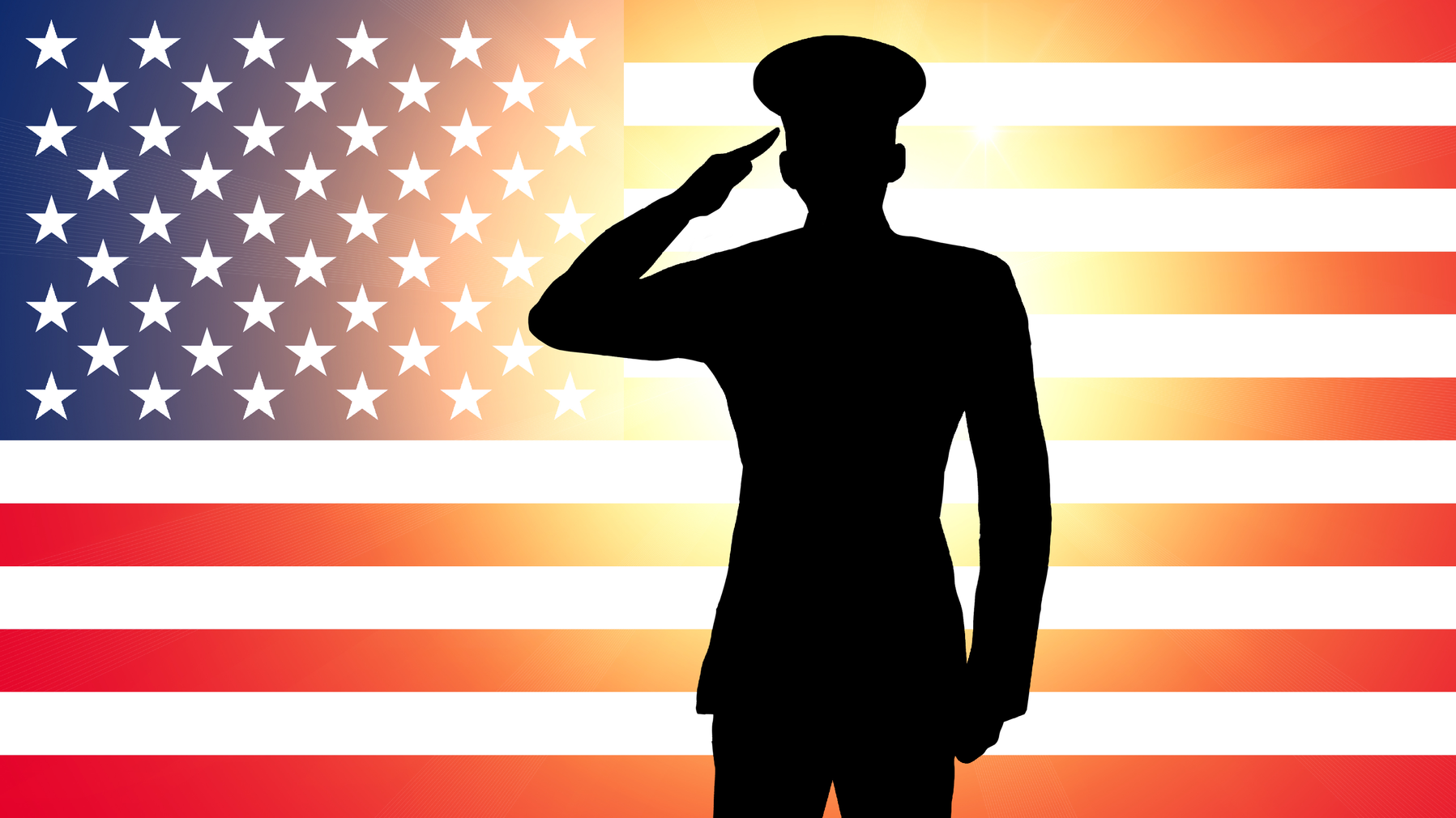 Vets Dreamstime L 23173623 636e31a8d16e2