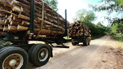 Pitts Forestry 1 6475578e1ca3a