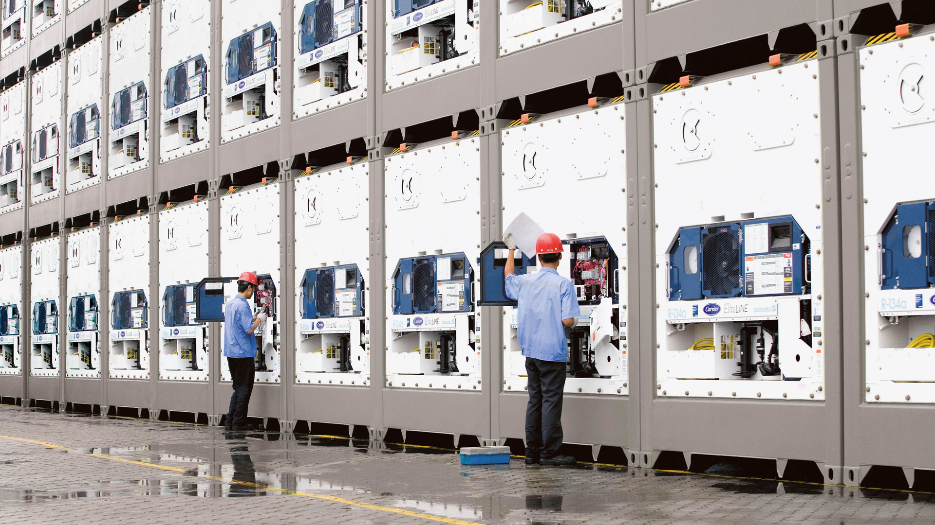 Carrier Transicold Eliteline Units In Yard