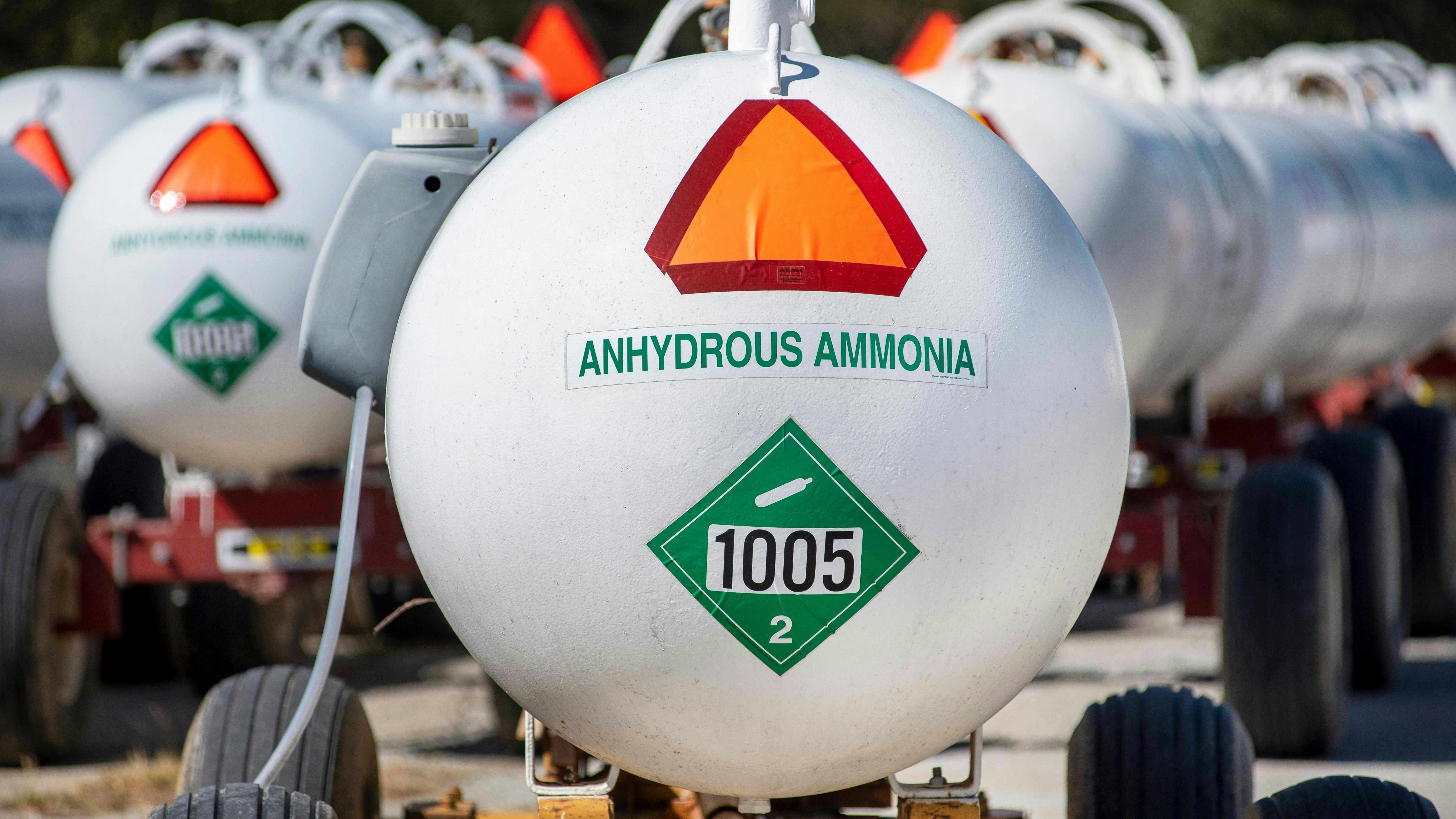 65dcc40691475c001e96cc13 Adobestock 421828189 Editorial Use Only