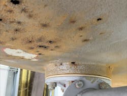 Sand-blasting the tank to the bare metal revealed numerous rusted-out holes. Sand-blasting the tank to the bare metal revealed numerous rusted-out holes.